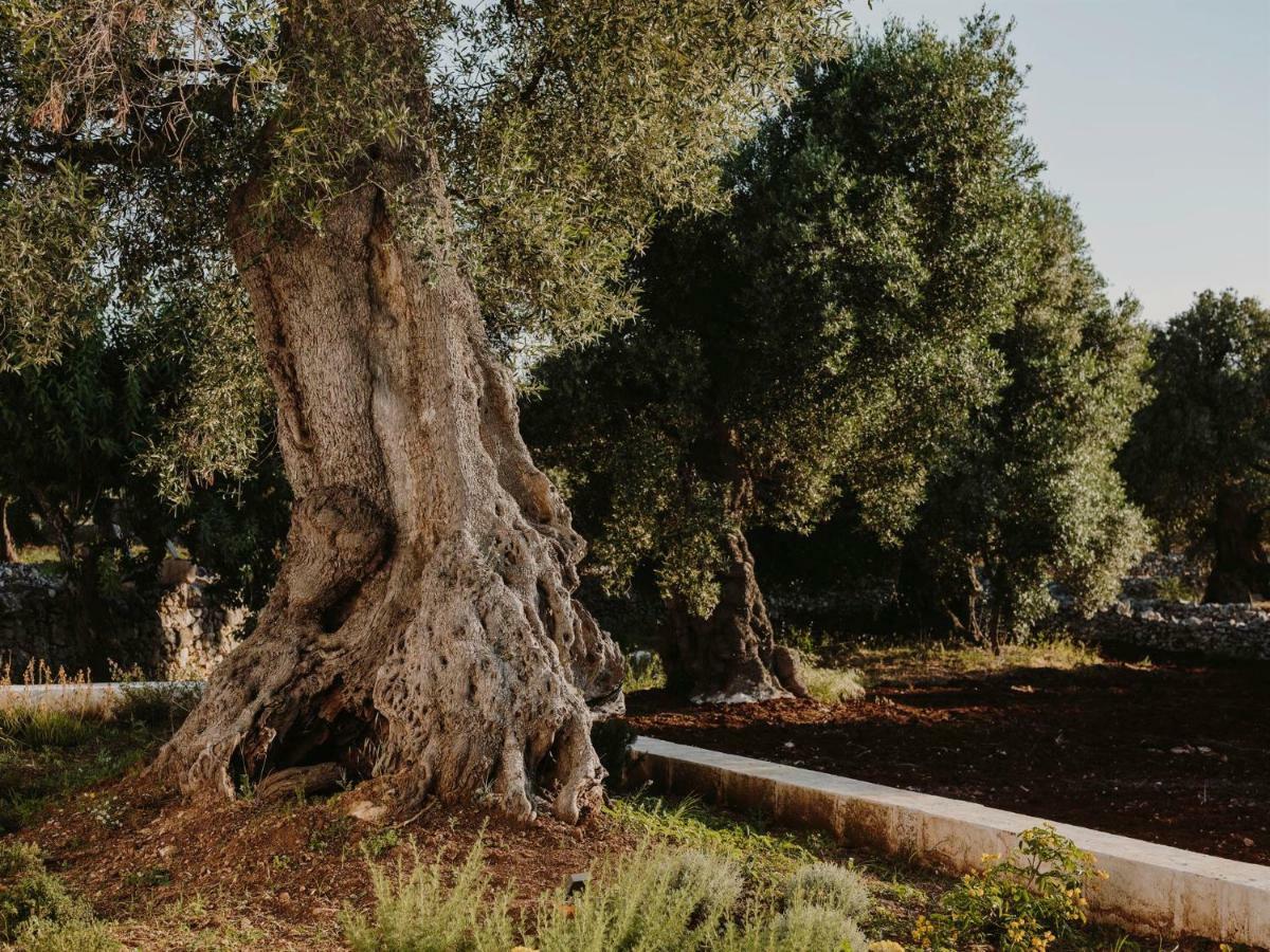 Masseria Dagilupi Ostuni Ngoại thất bức ảnh